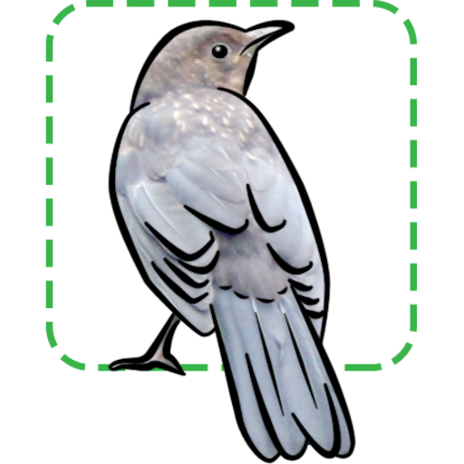 British Birds icon