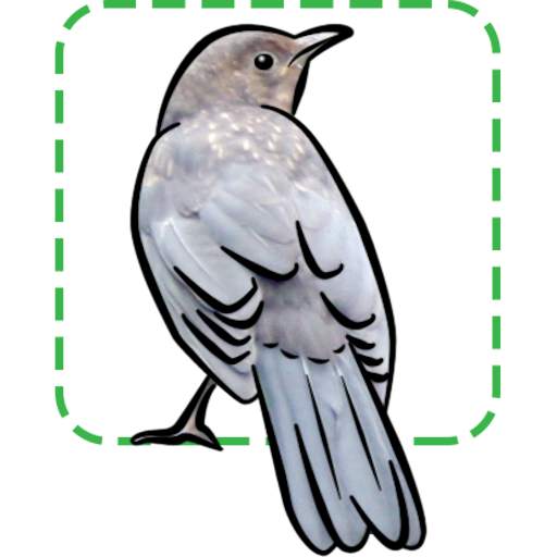 British Birds 2.4