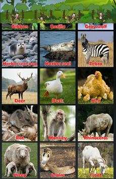 Animal Sounds screenshot 7