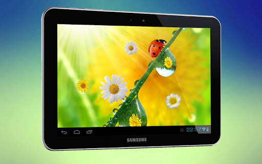 Ladybug 3D Live Wallpaper 15 تصوير الشاشة