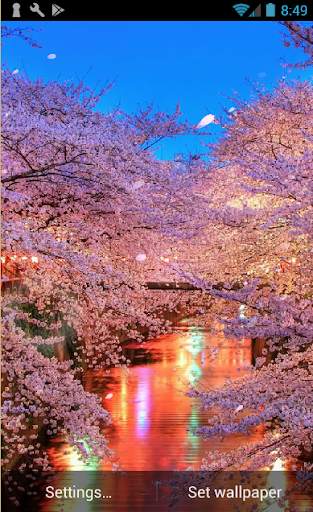 Sakura Live Wallpaper screenshot 2