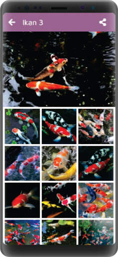 Wallpaper Ikan screenshot 4