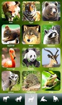 ZOOLA Animals - FREE screenshot 24