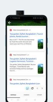 reverse image search screenshot 2
