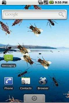 Live Wallpaper Creepy Crawlies screenshot 1