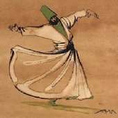 Daily Rumi Quotes