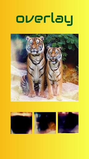 Easy Edit - Text on Photo and Stickers screenshot 5