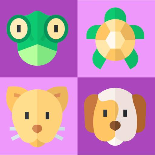 Memory Game - Matching Pairs 1.1.1