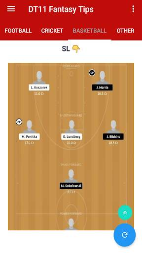 DT11 Dream11- Team Tips and Prediction screenshot 7