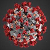 Corona Virus icon