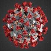 Corona Virus 1.2
