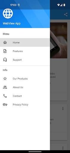 WebView App screenshot 4