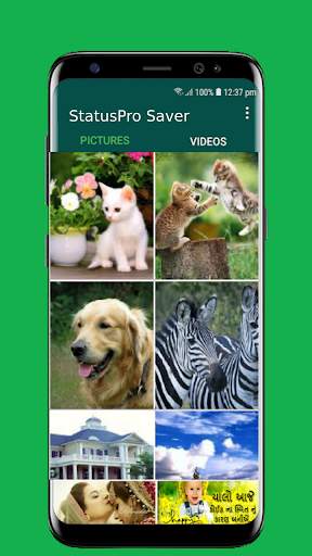 Whatspro Status Downloader and Saver screenshot 3