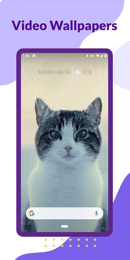 Video Wallpapers screenshot 1