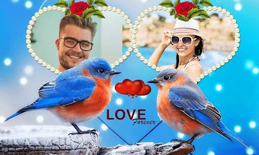 Love Birds Photo Frame screenshot 2