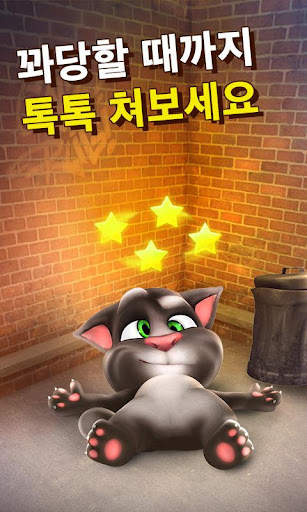 말하는 고양이 토킹톰 screenshot 3