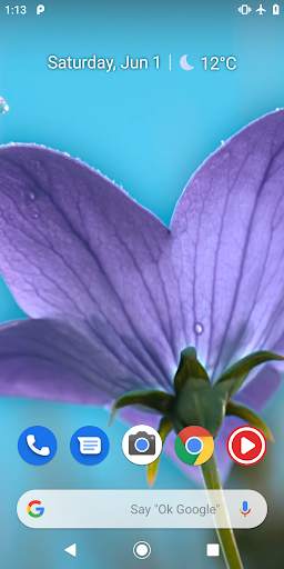 Flowers Video Wallpaper For Lock Screen 7 تصوير الشاشة