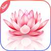Gallery   on 9Apps