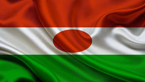 Niger Flag Wallpaper screenshot 1