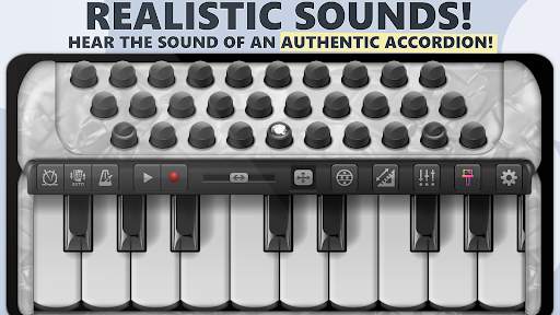 Accordion Piano screenshot 1