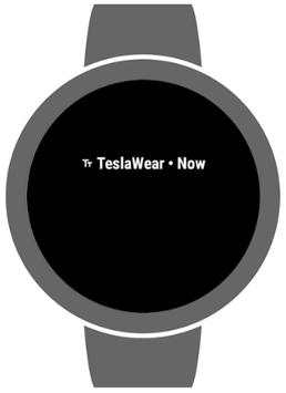 TeslaWear screenshot 2