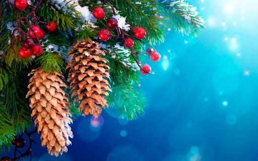 Christmas Wallpapers HD (backgrounds & themes) screenshot 8