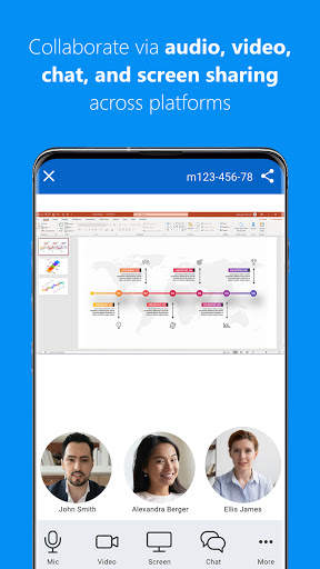 TeamViewer Meeting screenshot 2