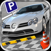 Dr Parking Car icon