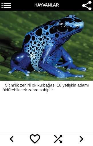 İlginç Bilgiler Kütüphanesi screenshot 7