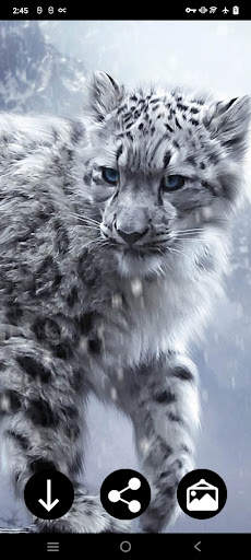 Snow Leopard Wallpapers screenshot 5