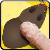 Cat Toys - MouseHunt Cat Games иконка