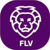 FLV Player For Android أيقونة
