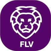 FLV Player For Android on 9Apps