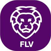 FLV Player For Android 1.1