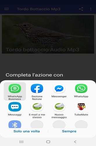 Song Thrush screenshot 7