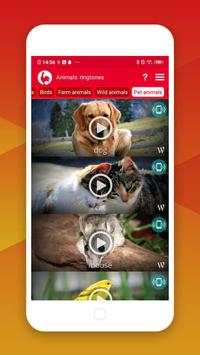 Best Animals Ringtones screenshot 2