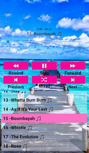 Blackpink Songs Offline screenshot 2