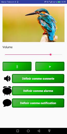 Birds Songs As Phone Ringtone screenshot 2