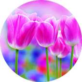 Thai Good Morning & Good Night Sweet dream on 9Apps