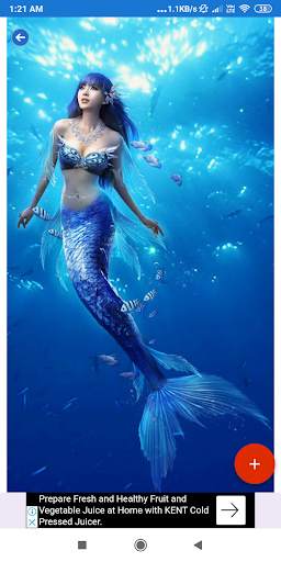 Mermaid HD Wallpapers screenshot 3