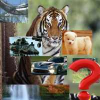 Picture Puzzle icon