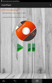 Perfect Music Player screenshot 1