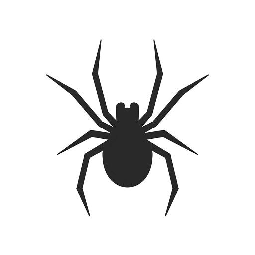 Spider Ninja icon