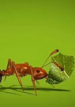 Ant Live Wallpaper screenshot 1