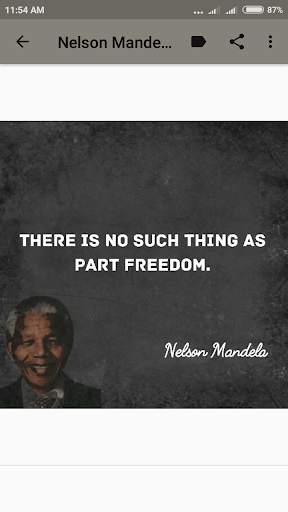 Nelson Mandela Quotes screenshot 6