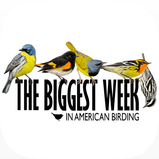 Biggest Week in Am. Birding icon