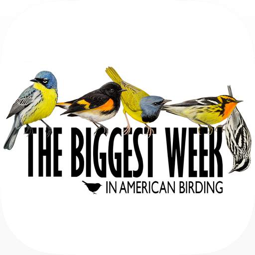 Biggest Week in Am. Birding 1.2.67