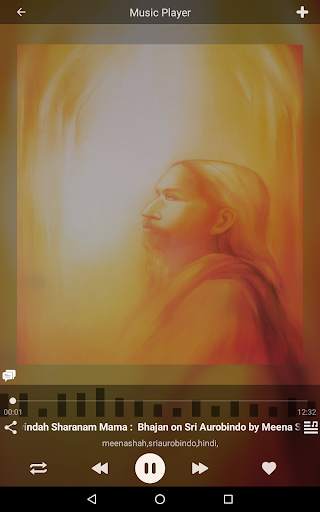 AuroMusic screenshot 7