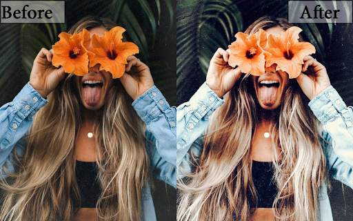 Free Presets - Lightroom Mobile Presets & Filter screenshot 1