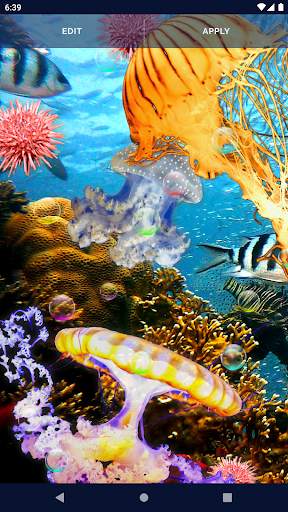 Jellyfish Live Wallpaper screenshot 4